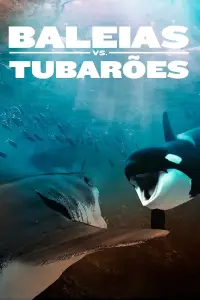 Poster to the movie "Orca Vs. Great White" #1014884