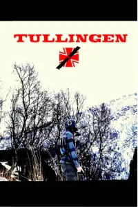 Poster to the movie "Tullingen: No Germans Were Harmed" #696382