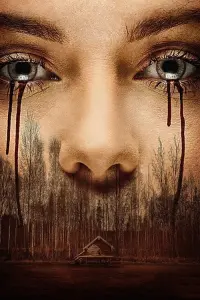 Poster to the movie "Cabin Fever" #812188