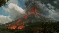 Backdrop to the movie "Congo" #744168