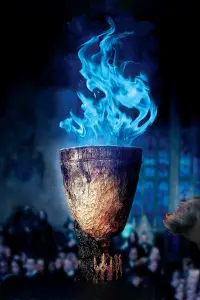 Poster to the movie "Harry Potter and the Goblet of Fire" #801801