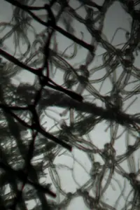 Poster to the movie "Tactile Light Diary" #807653