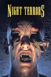 Poster to the movie "Night Terrors" #1049430