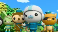 Backdrop to the movie "Octonauts: The Crisis of the Tsunami" #769416