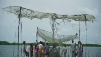 Backdrop to the movie "Filhos do Mangue" #812579