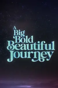 Poster to the movie "A Big Bold Beautiful Journey" #559380