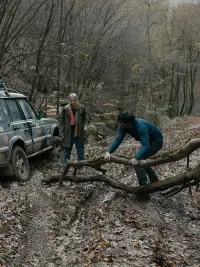 Poster to the movie "Întregalde" #743440