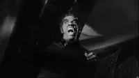 Backdrop to the movie "Werewolf in a Girls