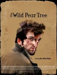 Poster to the movie "The Wild Pear Tree" #1091714
