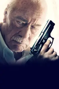 Poster to the movie "Remember" #759170