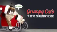 Backdrop to the movie "Grumpy Cat