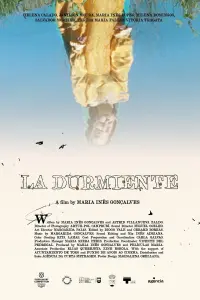 Poster to the movie "La Durmiente" #761343