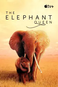 Poster to the movie "The Elephant Queen" #1015307