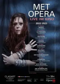 Poster to the movie "The Metropolitan Opera: Don Giovanni" #873785