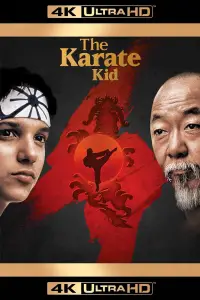 Poster to the movie "The Karate Kid" #956361