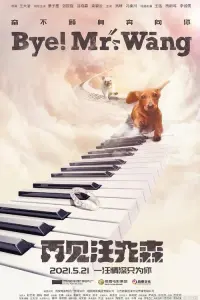 Poster to the movie "Bye, Mr Wang!" #843882