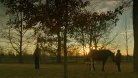 Backdrop to the movie "Orphan Horse" #796083