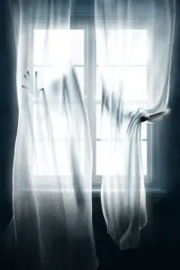 Poster to the movie "The Invisible Man" #861409