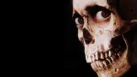 Backdrop to the movie "Evil Dead II" #872217