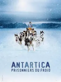 Poster to the movie "Eight Below" #858939