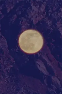 Poster to the movie "I Would Rather Be a Stone" #197626