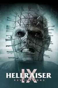 Poster to the movie "Hellraiser: Revelations" #971718