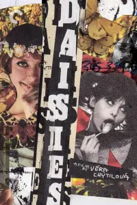 Poster to the movie "Daisies" #969689