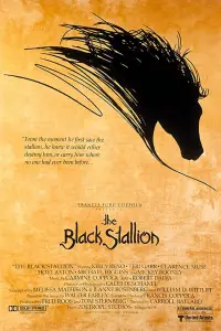 Poster to the movie "The Black Stallion" #988560