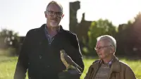 Backdrop to the movie "Greg Davies: Looking for Kes" #878167
