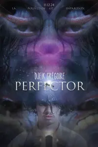 Poster to the movie "Perfector" #812936