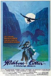 Poster to the movie "The Shadow of Chikara" #1018819