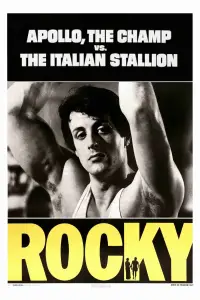 Poster to the movie "Rocky" #906751