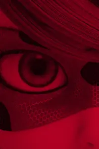 Poster to the movie "Miraculous World: Paris, Tales of Shadybug and Claw Noir" #833794