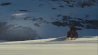 Backdrop to the movie "The Hateful Eight" #803993
