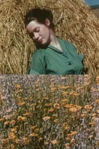 Poster to the movie "The Leaden Echo and the Golden Echo" #1192945