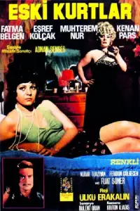 Poster to the movie "Eski Kurtlar" #1160378