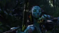 Backdrop to the movie "Avatar" #801240