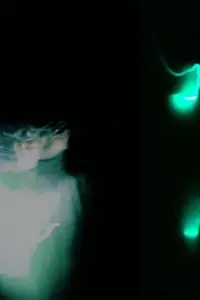 Poster to the movie "Fleeting Whispers" #633442