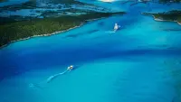 Backdrop to the movie "Fyre Fraud" #849796