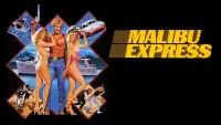 Backdrop to the movie "Malibu Express" #622973