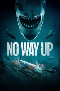 Poster to the movie "No Way Up" #161856