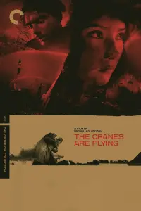 Poster to the movie "The Cranes Are Flying" #181583