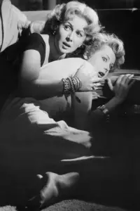 Poster to the movie "Slightly Scarlet" #1116998