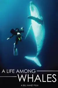 Poster to the movie "A Life Among Whales" #1021652