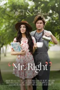 Poster to the movie "Mr. Right" #715399