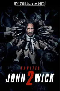 Poster to the movie "John Wick: Chapter 2" #912795