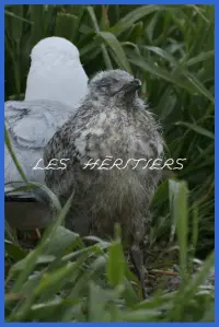 Poster to the movie "The Inheritors" #1007154