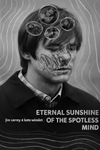 Poster to the movie "Eternal Sunshine of the Spotless Mind" #740143