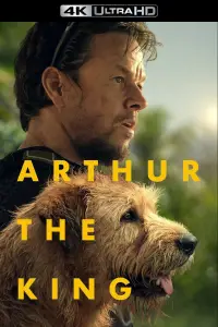 Poster to the movie "Arthur the King" #932975