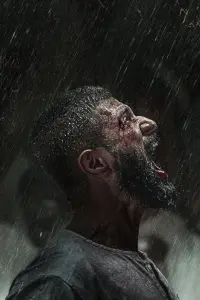 Poster to the movie "Kingdom" #815954